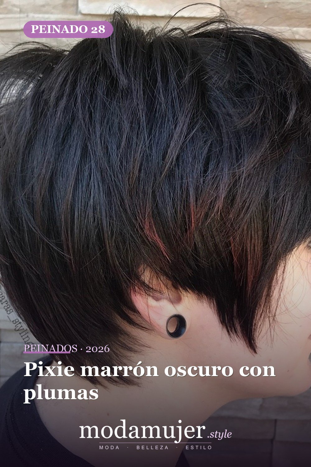 Pixie marrón oscuro con plumas — 49 cortes largos de pixie para destacar en 2026