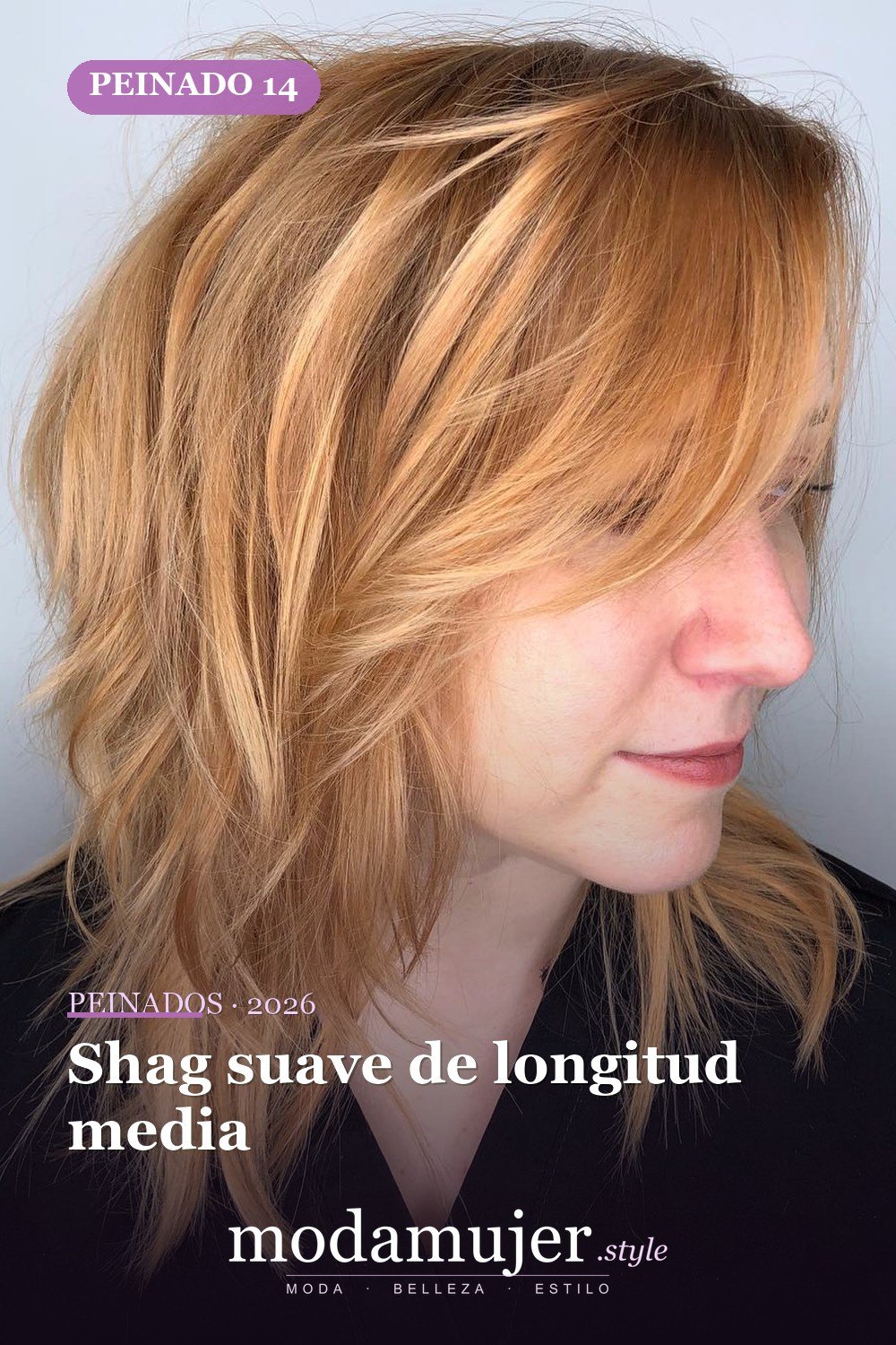Shag suave de longitud media — 50 cortes shag de melena media para todo tipo de cabello