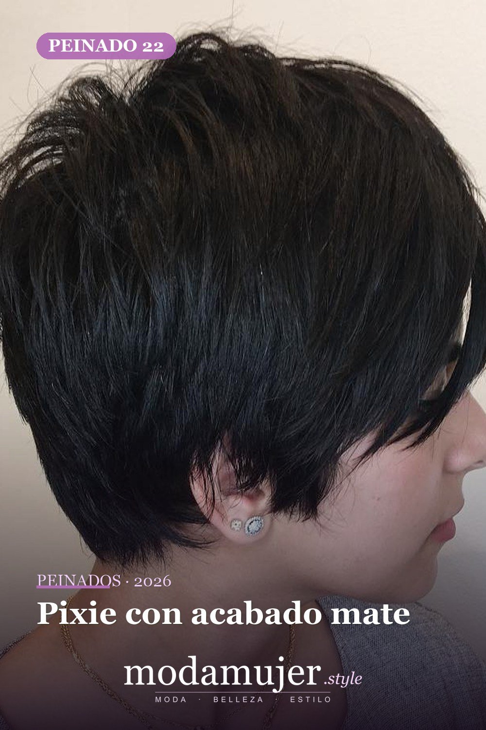 Pixie con acabado mate — 50 ideas frescas de corte de duendecillo picado