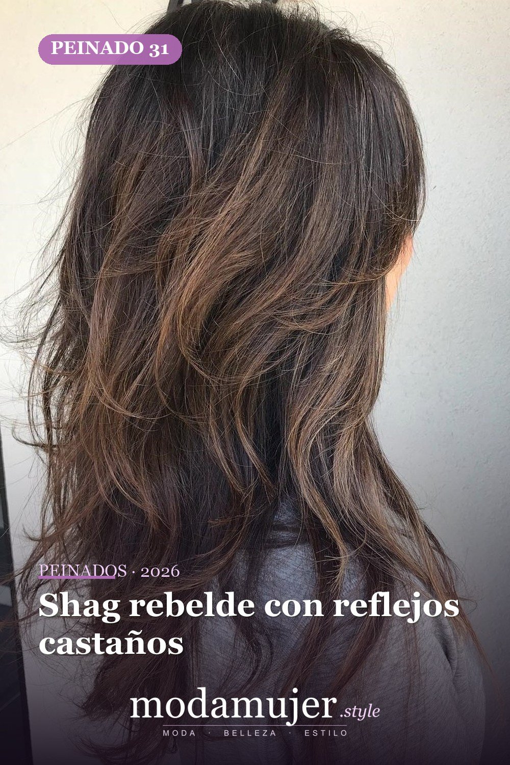 Shag rebelde con reflejos castaños — 50 ideas y tendencias de corte de pelo de pelusa larga