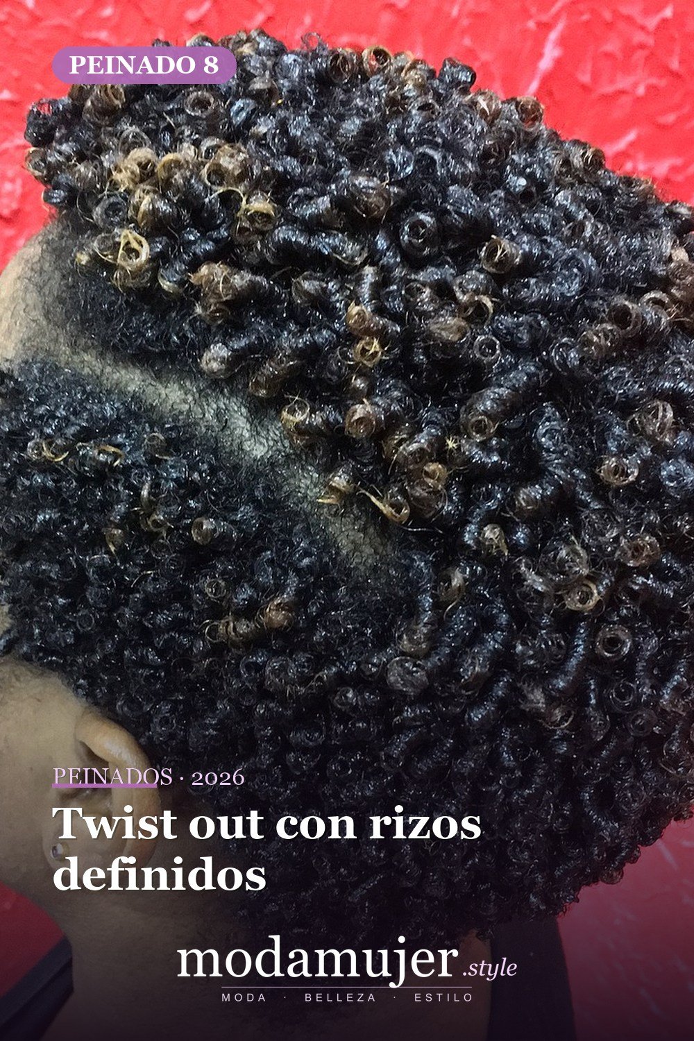 Twist out con rizos definidos — 50 peinados impresionantes para cabello natural corto