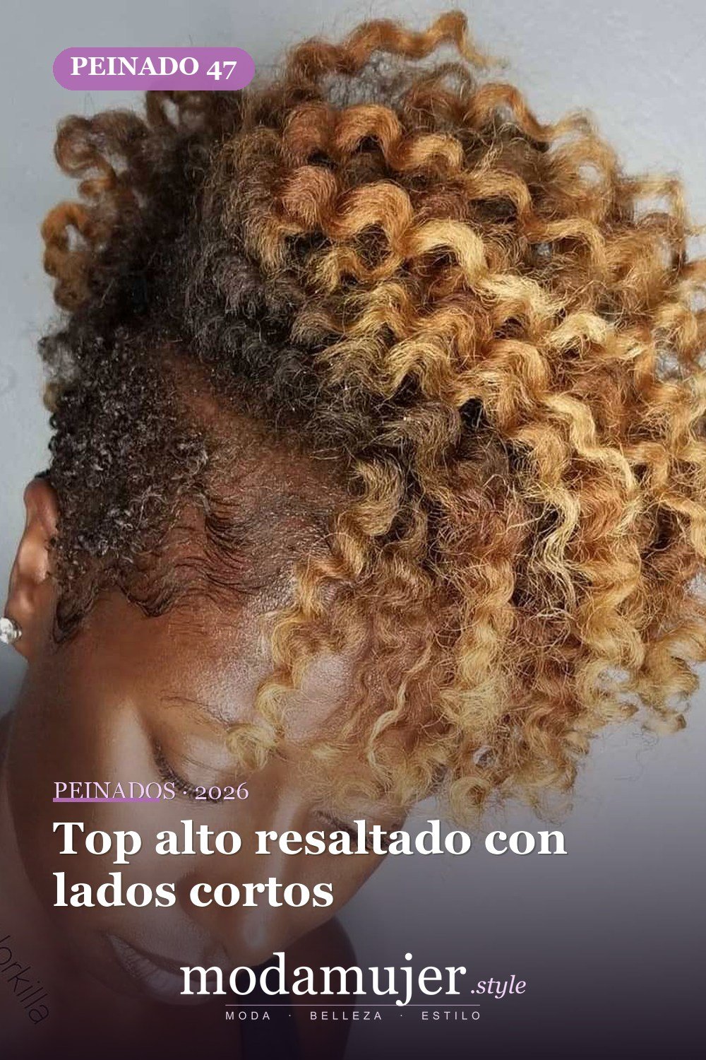 Top alto resaltado con lados cortos — 50 peinados impresionantes para cabello natural corto