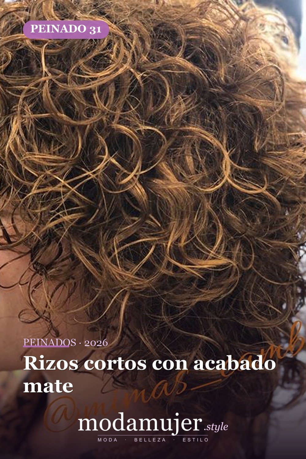 Rizos cortos con acabado mate — 53 opciones de peinados rizos cortos
