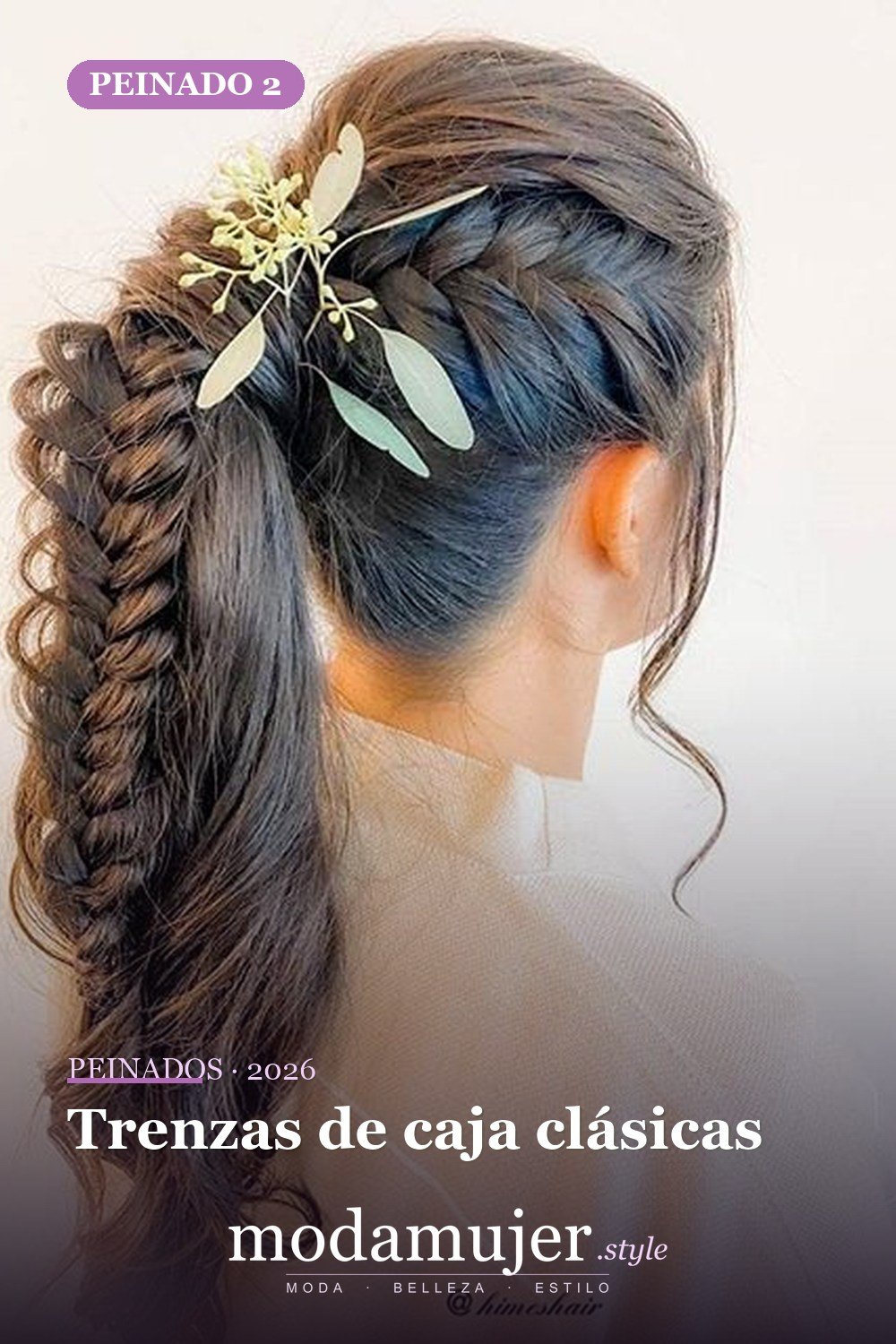 Trenzas de caja clásicas — 54 trenzas súper lindas para mujeres