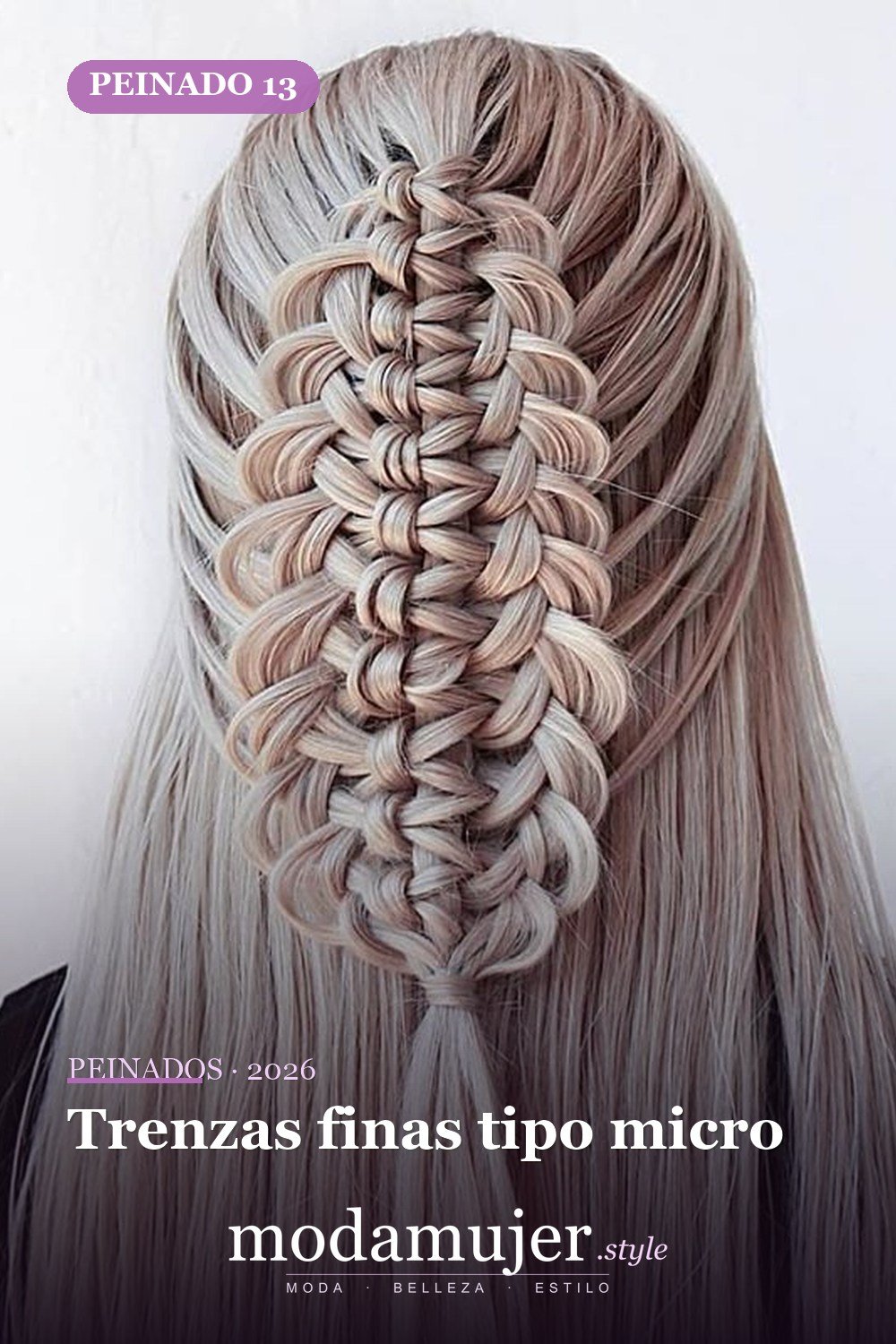Trenzas finas tipo micro — 54 trenzas súper lindas para mujeres