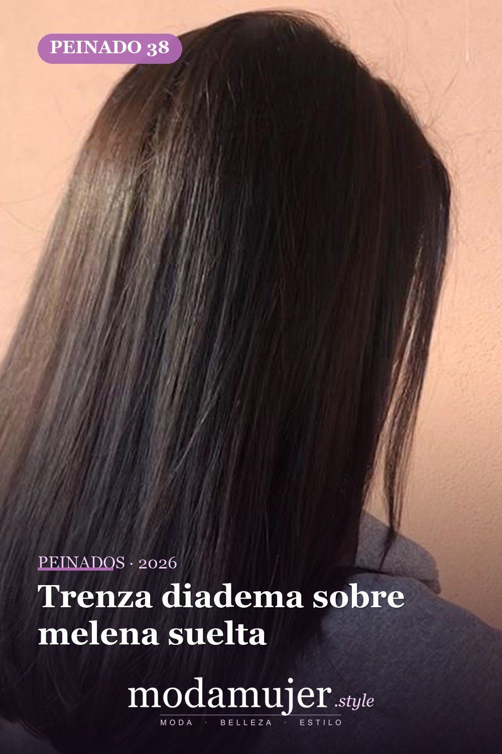 Trenza diadema sobre melena suelta — 72 peinados de moda cabello largo