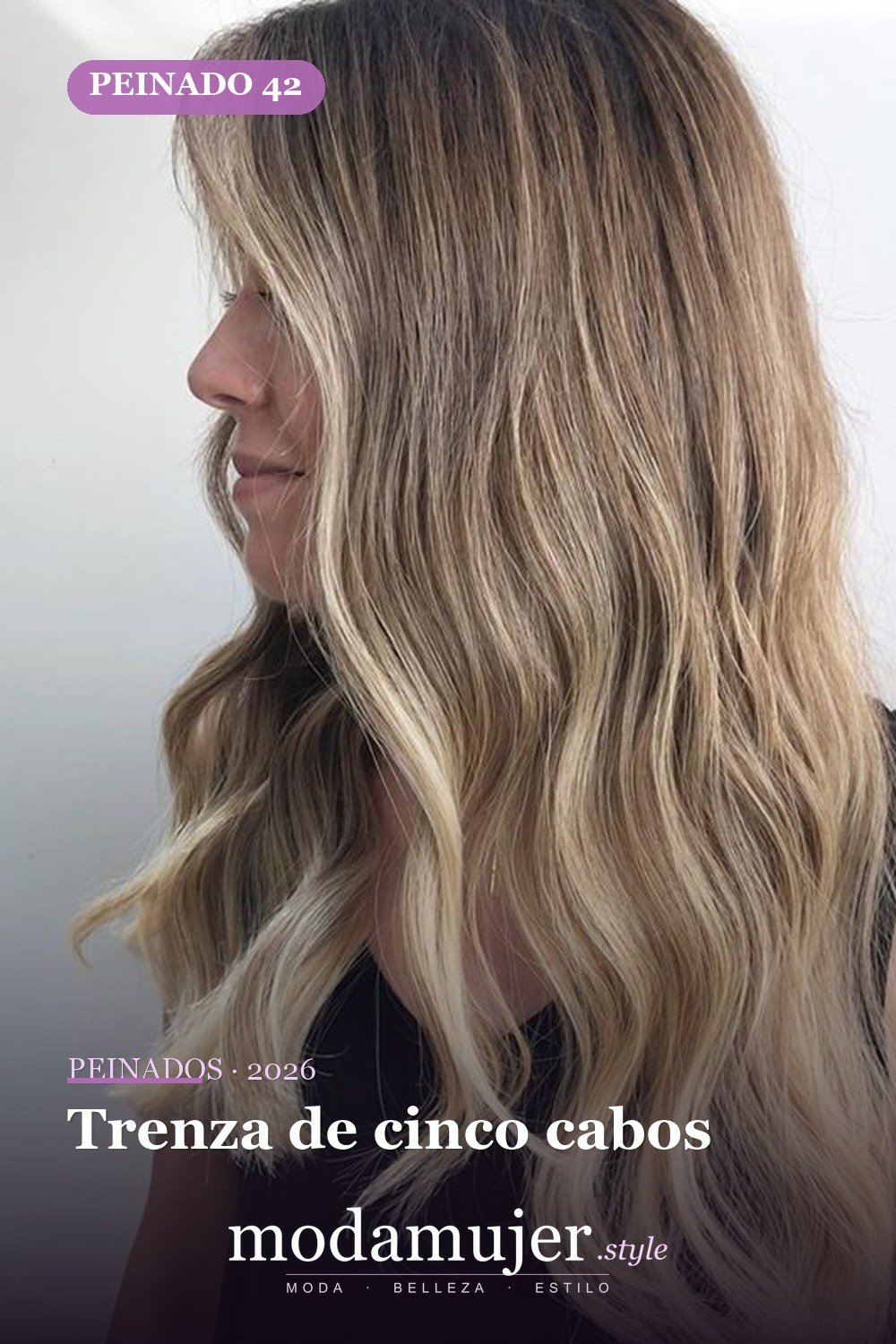 Trenza de cinco cabos — 72 peinados de moda cabello largo