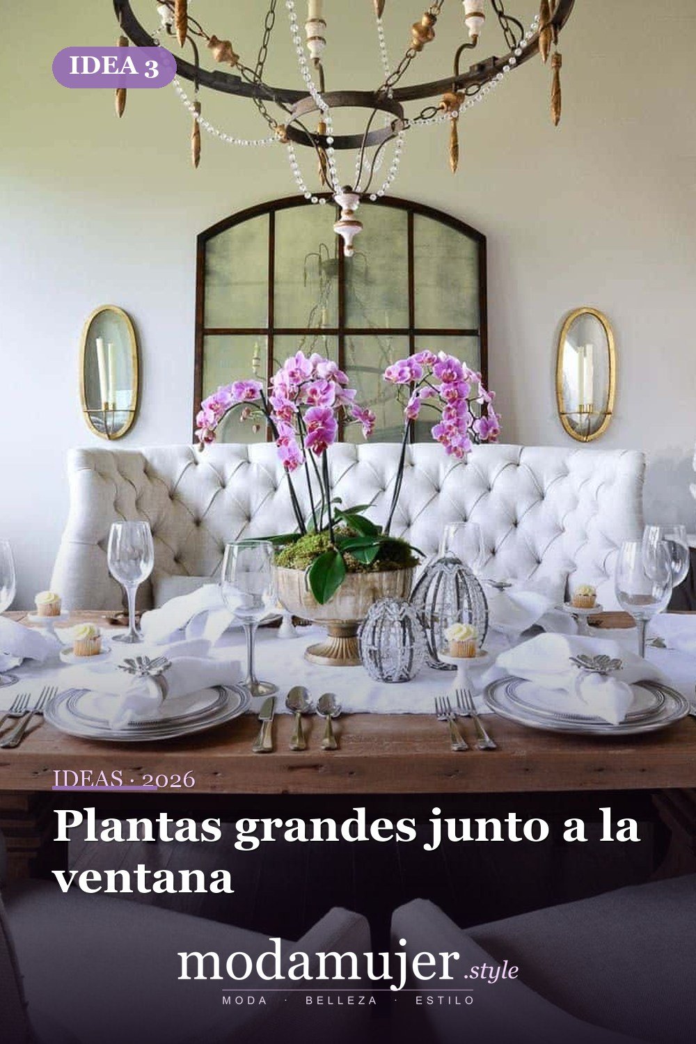 Plantas grandes junto a la ventana — Ideas de decoración encantadoras llenas de vegetación