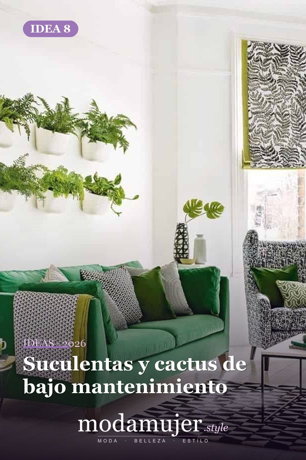 Suculentas y cactus de bajo mantenimiento — Ideas de decoración encantadoras llenas de vegetación