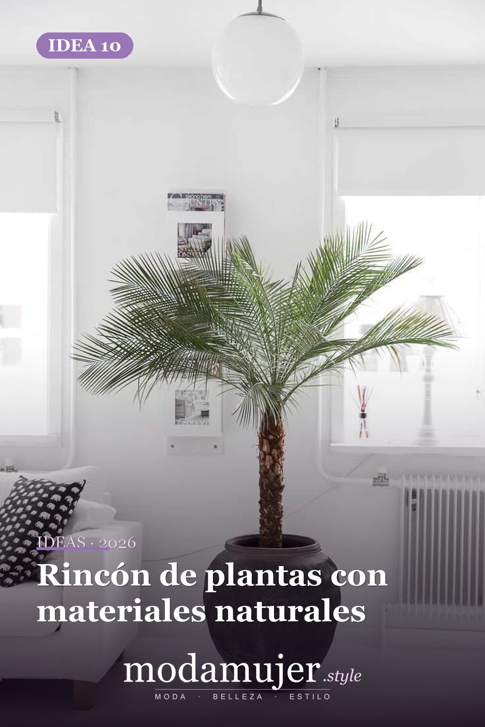 Rincón de plantas con materiales naturales — Ideas de decoración encantadoras llenas de vegetación