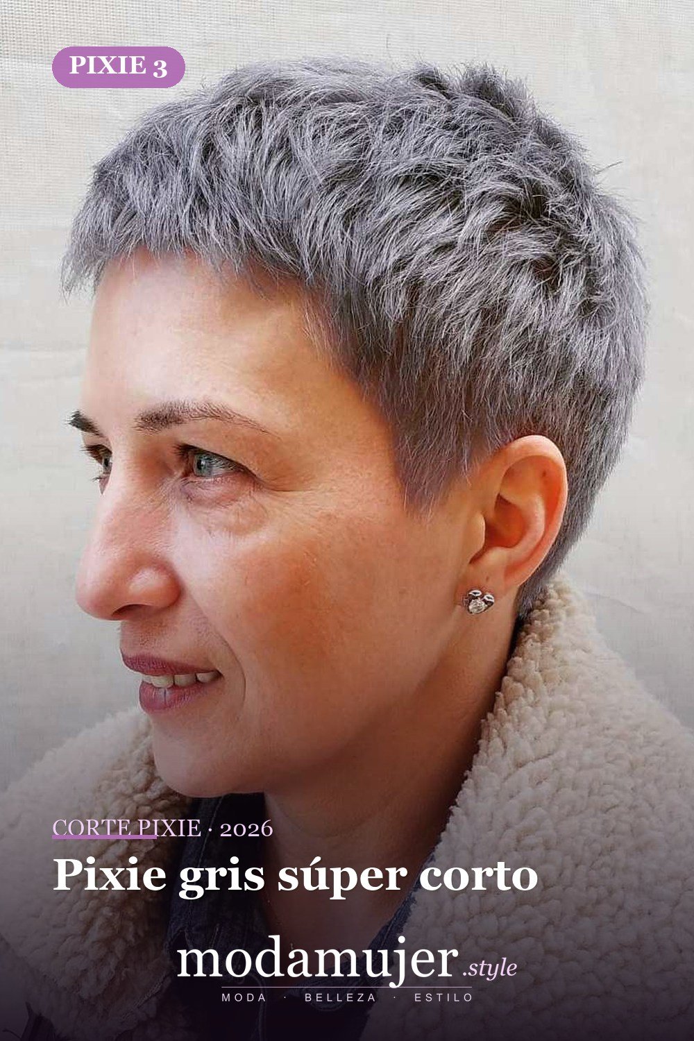 Pixie gris súper corto — corte de pixie corto 2026