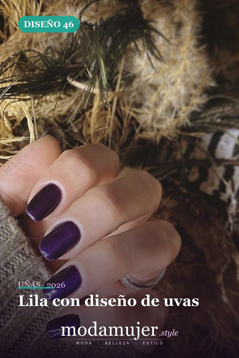 Lila con diseño de uvas — Más de 60 encantadores y hermosos diseños de uñas morados