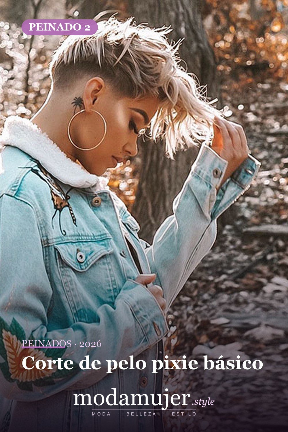 Corte de pelo pixie básico — Más de 70 ideas de corte pixie para mujer en 2026